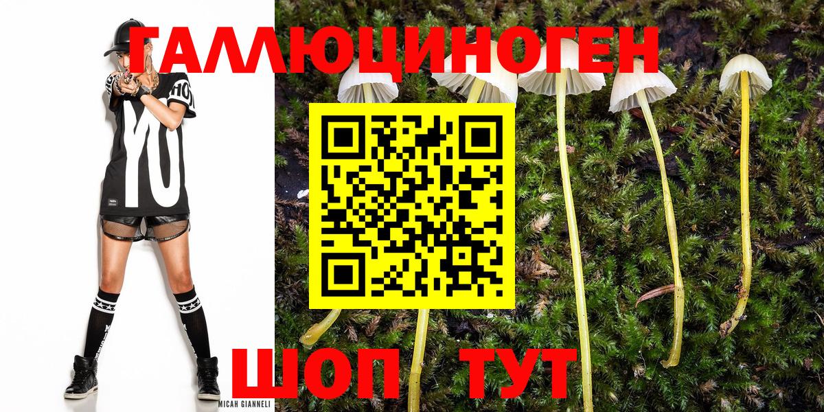 Галлюциногенные грибы прущие грибы Темрюк