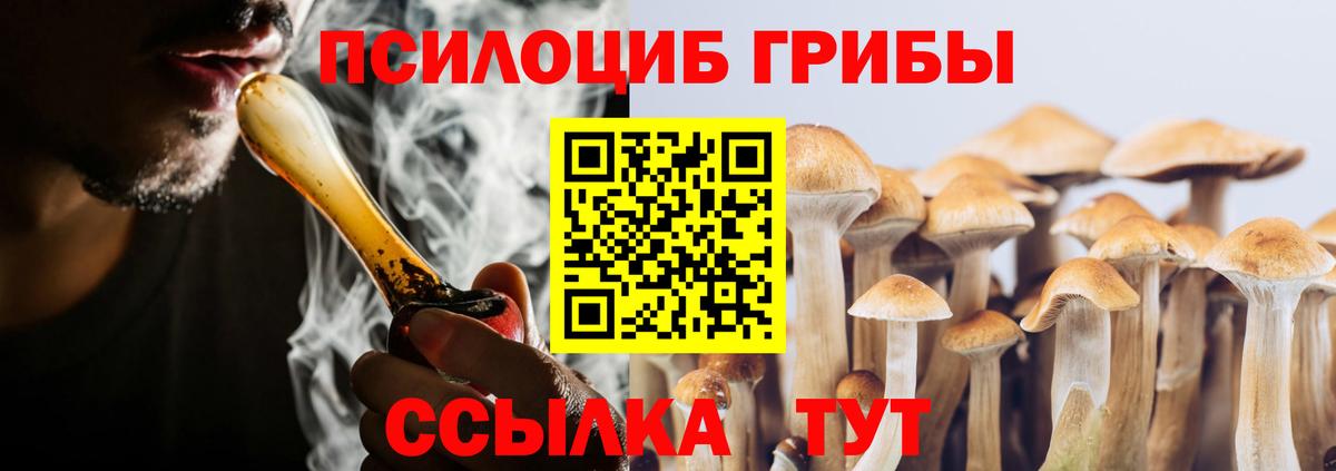 Темрюк  Галлюциногенные грибы мицелий  Вход с VPN 